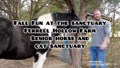 Fall Fun at the Sanctuary