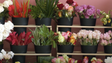 615 Flower Stop