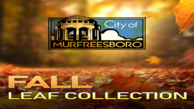 Murfreesboro Fall Leaf Collection 2023