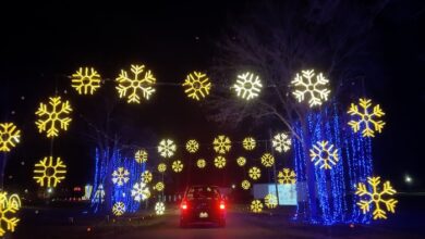 Dancing Lights of Christmas 2023