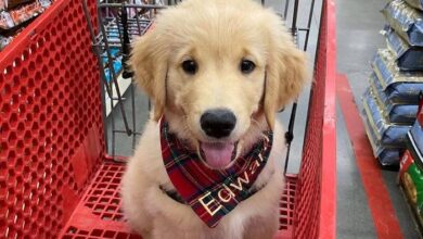 Tractor Supply's Pet Treat Tasting Event