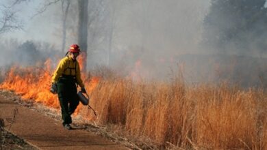 Stones River National Battlefield Prescribed Fire