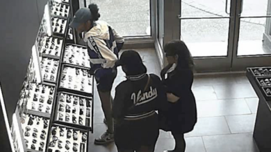 Theft at Sunglass Hut in Murfreesboro