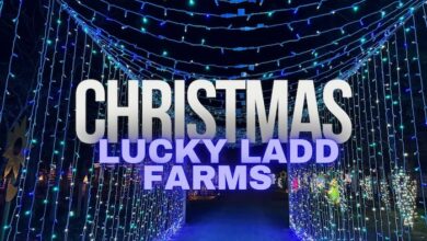 Lucky Ladd Farms Christmas