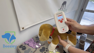 Beesley Animal Clinic MIcrochip Scanner