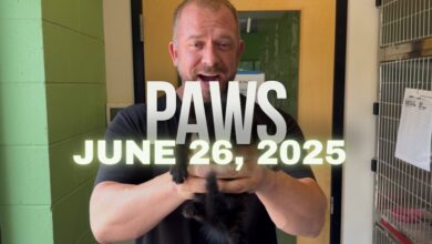 PAWS June 26, 2025