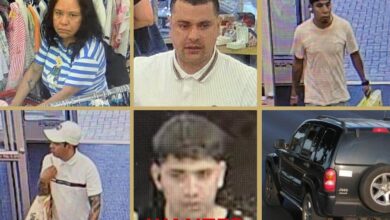 retail theft ring