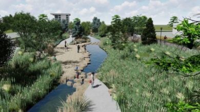 Daylighting Town Creek Project