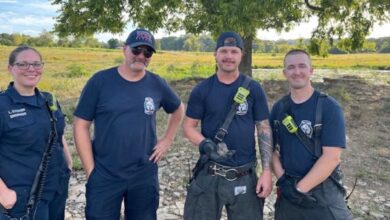 Firefighters Save Baby Bunny
