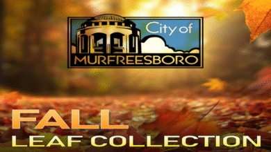 Murfreesboro Fall Leaf Collection 2025
