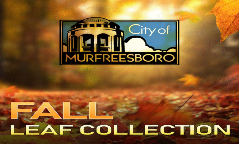 Murfreesboro Fall Leaf Collection 2025