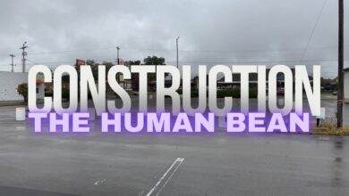 The Human Bean Coffee Shop Murfreesboro