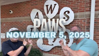 PAWS Update November 5, 2025