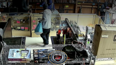 Teens arrested in Smash-and-Grab burglaries