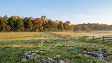 An open field with limestone outcrops and a split-rail fence on a Middle Tennessee battlefield park at sunrise (illustrative)