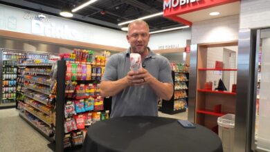 Wawa Hoagie