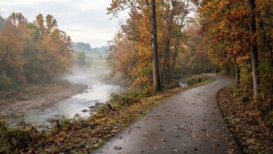 Autumn color along a riverside greenway trail in Middle Tennessee (illustrative)