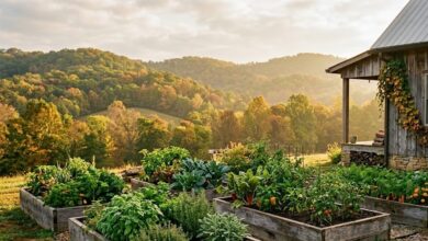 Raised herb and vegetable garden beds beside a rustic farmhouse kitchen in Middle Tennessee (illustrative)