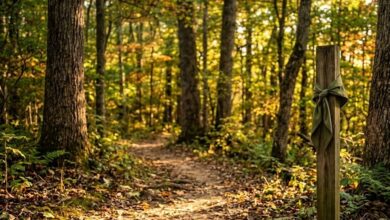 Woodland trail in Middle Tennessee with a scout neckerchief tied to a trail post (illustrative)