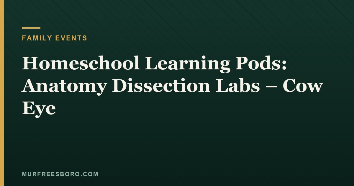 Homeschool Learning Pods: Anatomy Dissection Labs – Cow Eye
