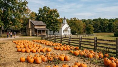An autumn pumpkin patch beside a restored pioneer village log cabin and clapboard church in Rutherford County, Tennessee (illustrative)