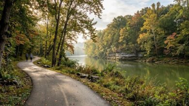 Paved greenway trail curving along a river beneath hardwood trees in Middle Tennessee in early autumn (illustrative)