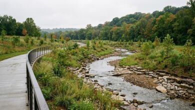 A restored urban creek runs beside a new paved walkway and native plantings on an overcast autumn morning (illustrative)