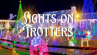 Lights on Trotters