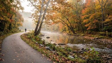A paved trail curving beside a shallow river under autumn trees, with morning mist and a distant cyclist.